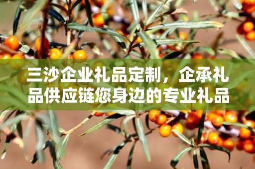 三沙企业礼品定制，企承礼品供应链您身边的专业礼品定制公司