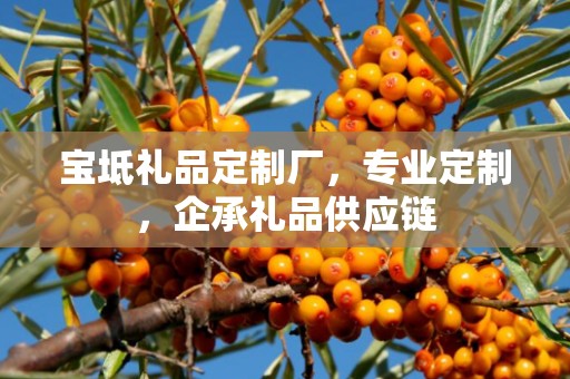 宝坻礼品定制厂，专业定制，企承礼品供应链